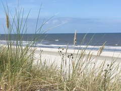 Caught masturbating in the dunes at beach